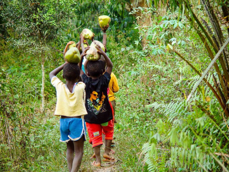 Enfants portant des noix de coco dans la forêt de Missahoe, Togo