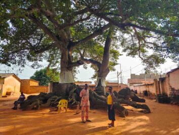Sacred trees in Togoville